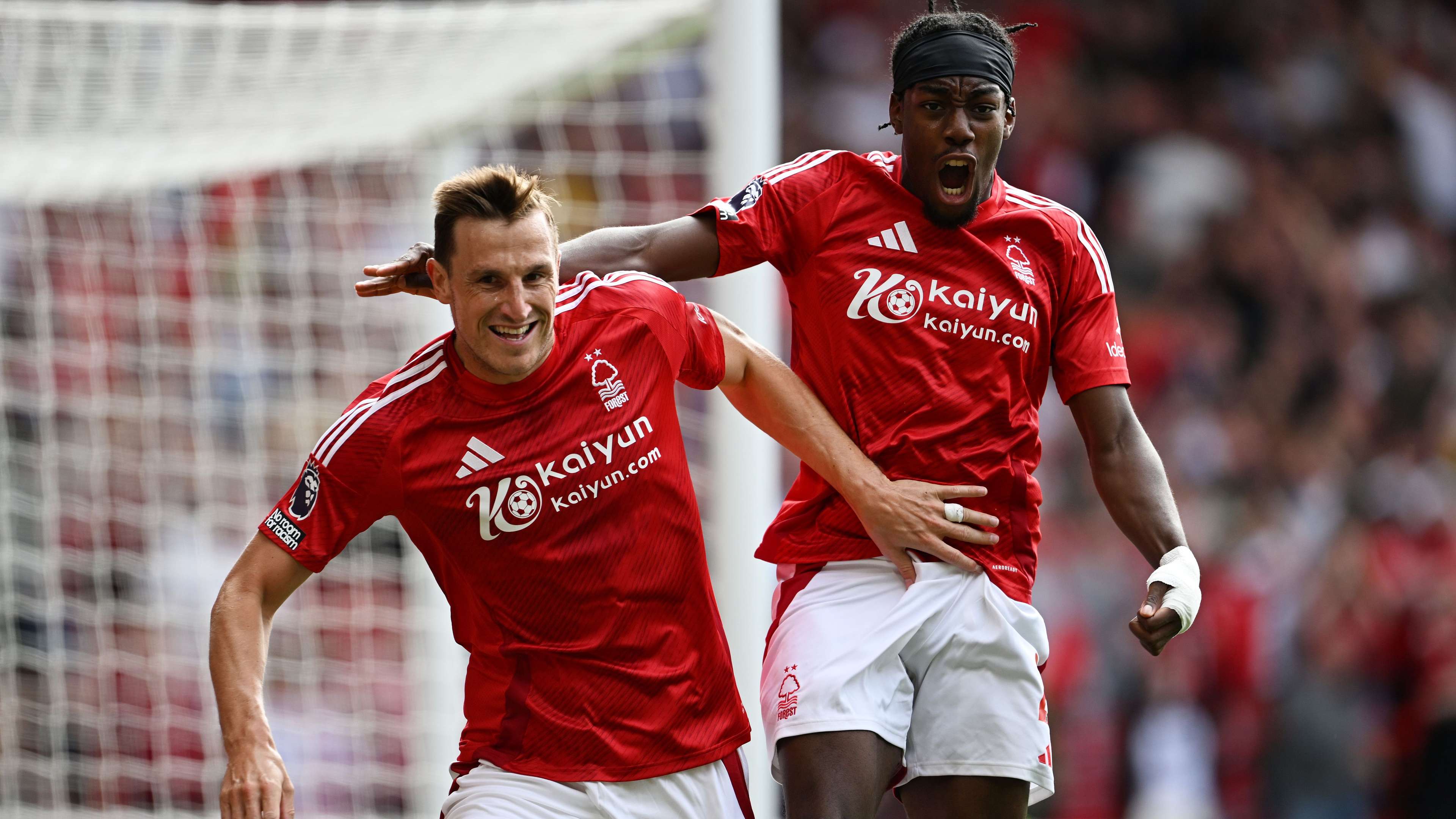 元化的观赛 元化的观赛